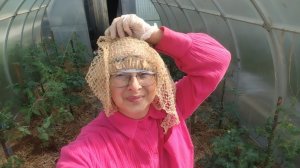 20-06-2026 Мошкара нас съедает 🤦.