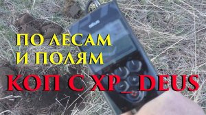 ПОИСК МОНЕТ С XP DEUS БОГАТЫХ МЕСТ  | ЛЕСНОЙ И ПОЛЕВОЙ КОП