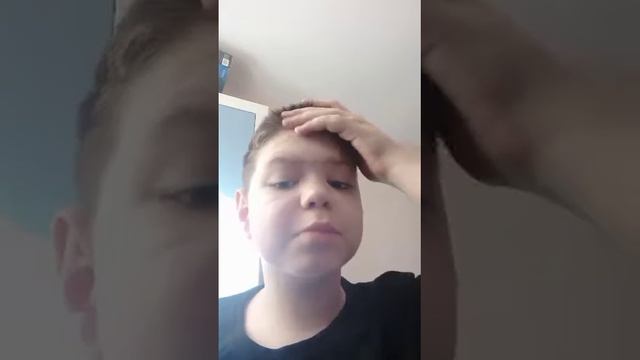 Мёртвые пчёлы