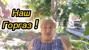 Ейск ! Газовая служба, их нарушения, решение вопросов, суммы, цены, развод на деньги ?