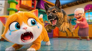 Котик и бабушка. Игра котика и бабушки. Мультики для детей