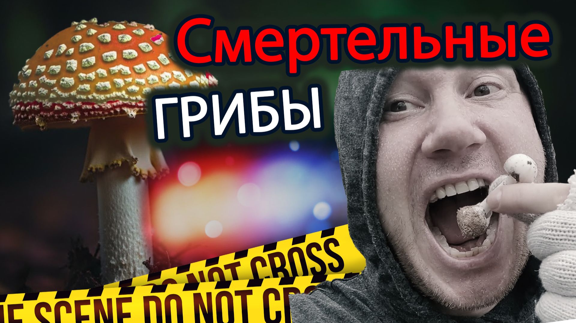 Смертельные грибы Таиланда.