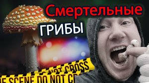 🍄Смертельные грибы Таиланда.
