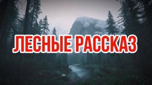 Лесные рассказы | сборник рассказов
