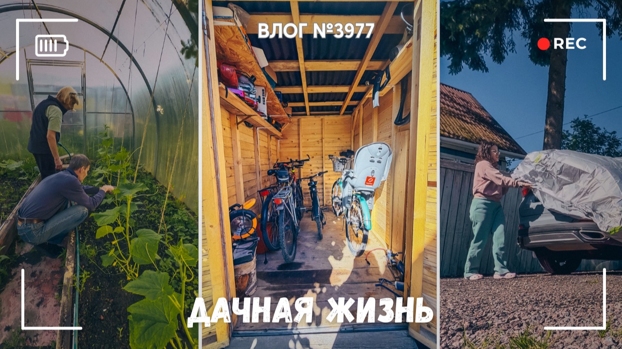 Дачная жизнь в разгаре | Получила штраф | Балуем собаку - ВЛОГ №3977 - 19.06.26 смотреть онлайн