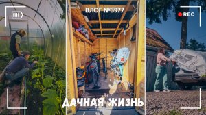 Дачная жизнь в разгаре | Получила штраф | Балуем собаку -  ВЛОГ №3977 - 19.06.26