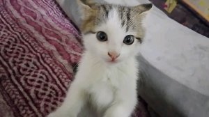 переезд 😘😘😘😘😘😘😘урааааа