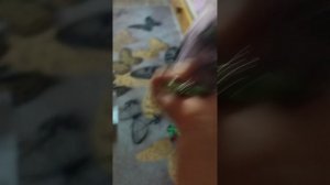 обмен 2 часть