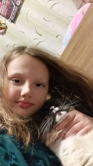 Хей гëрл! 2