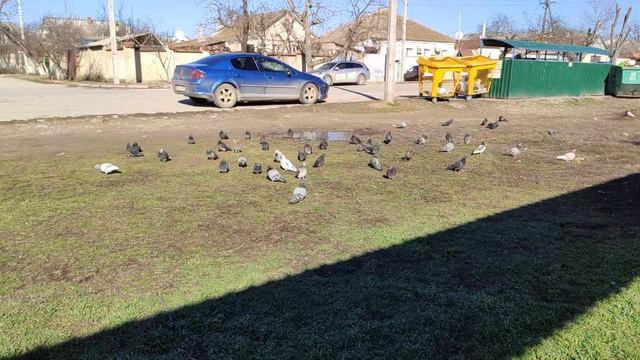 Один из дней города Евпатории | 21 февраля 2022 год | Крым ХАН БАТОН XAH 6ATOH | VID_20220221_143925