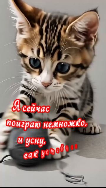 Доброй ночи