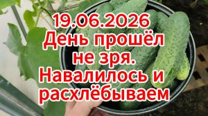 19.06.2026 День прошёл не зря. Навалилось и расхлёбываем