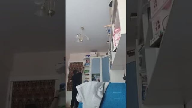 Дневник Миши