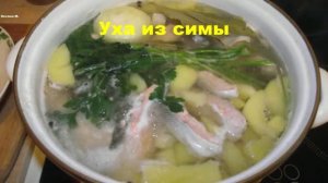 Уха их симы. Сима в духовке