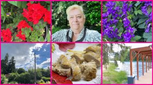 20.06.26 ✨НАШЕСТВИЕ НЕАДЕКВАТОВ ✨КУРИНАЯ ГРУДКА НА СКОВОРОДЕ ✨ ОГОРОД ✨