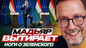 Шарий: Мадьяр вытирает ноги о Зеленского
