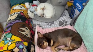 Всем самого доброго вечера и самой доброй ночи.