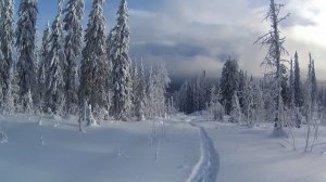 Две недели на промысле в тайге. Глухозимье 2023. Часть 2