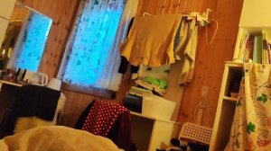 Дачный сезон #237 начало ванны)