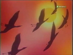 В мире животных заставка и начало передачи 2006