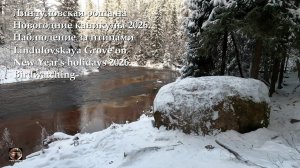 Линдуловская роща на Новогодние каникулы 2026 #линдуловскаяроща #наблюдениезаптицами #birdwatching