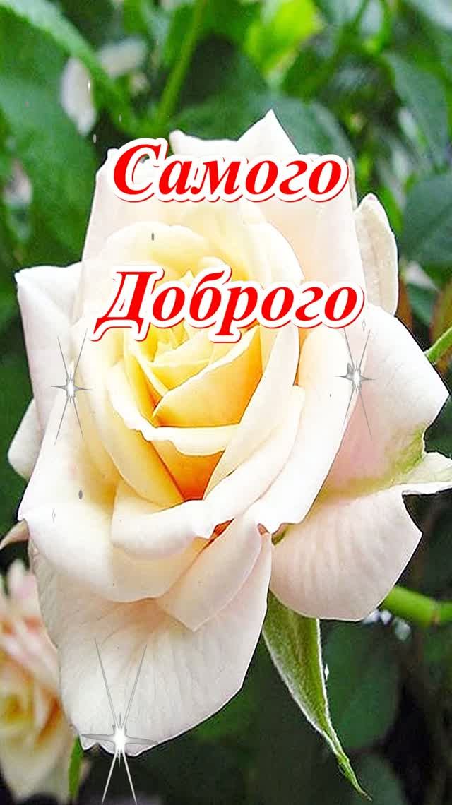 Доброе утро! Музыкальная открытка.