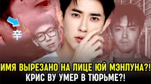 Дело Ю Мэнлуна: болезненная одержимость Синь Ци, шокирующая смерть Криса Ву и тайные сценаристы шоу?