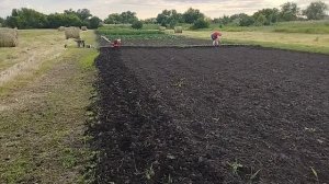 Однажды в субботу, в июньский вечер 20.06.2026.