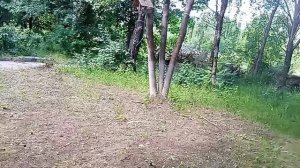 20-06-2026 распаковка чек