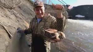 Рыбалка на ПАУК в Ручье КАРАСИ как Кабаны