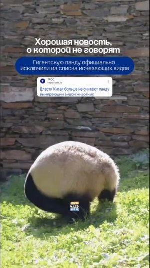 Хорошие новости!