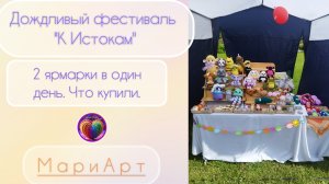Дождливый фестиваль «К Истокам»|2 ярмарки в один день. Что купили.