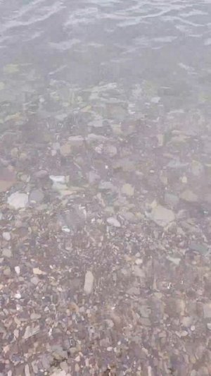 ДЖУБГА Молчанова пляж 19.06.2026