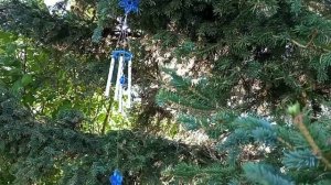 Музыка ветра внутри нас: как не цепляться за эмоции