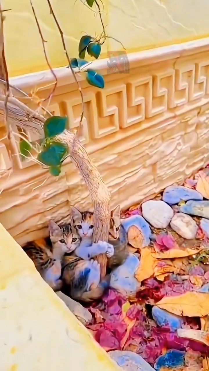 Самый лучший способ проверить человека на Г!¡! 🙀🫶🤯