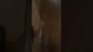 10358.mp4
