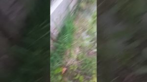 на даче у дяди