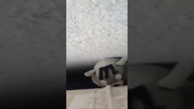 Запрещающая ленточка