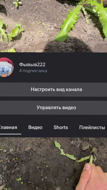Копаем яму! День 7