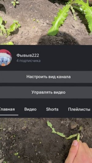 Копаем яму! День 7