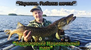 НАЦИОНАЛЬНЫЙ ВОДЛОЗЕРСКИЙ ПАРК. ЖОР ЩУКИ И СУДАКА.КАРЕЛИЯ 2026.РЫБАЛКА МЕЧТЫ.