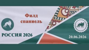 Выставка Россия 2026. День 1. Ринг филд спаниелей. 20.06.2026 Станислав Городилов