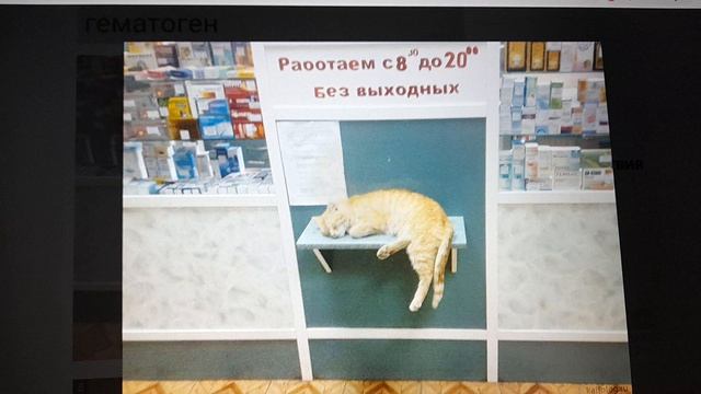 Наконец то прислали денежку на таблетки от тошноты! 20.06.2026 смотреть онлайн