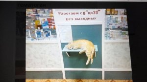 Наконец то прислали денежку на таблетки от тошноты!  20.06.2026
