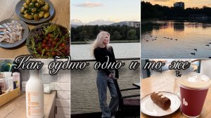 Это к деньгам?/ Красивые шлёпки/ Едем в ветклинику/ Крем для ног
