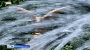 Новый туристский поезд «В Долину Нарзанов» отправился в первый рейс