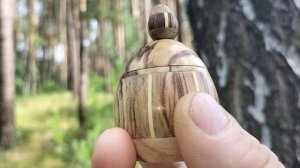 Шкатулка в июньском лесу на березе