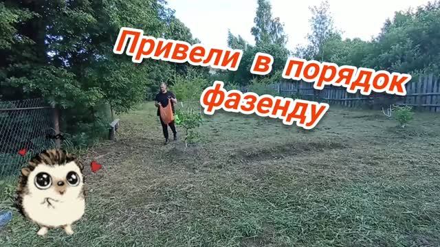 20.06.2026 Наконец-то привели в порядок фазенду! Ура! Новые цыплята.