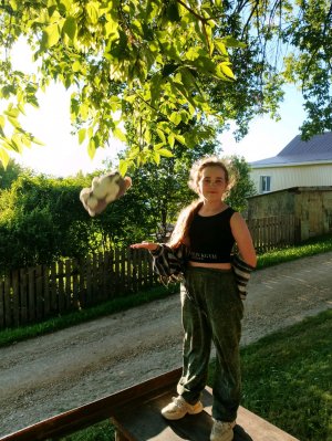 роблокс