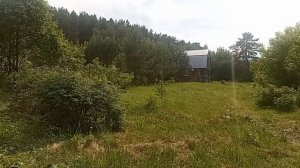 20-06-2026 Показываю старый дом на участке.